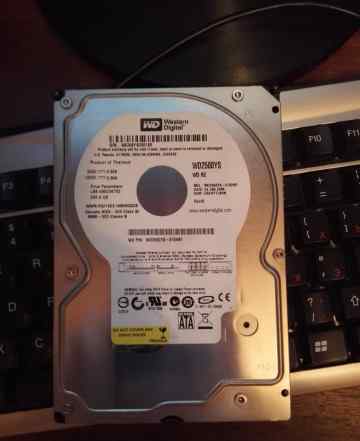 Продаю жесткий диск WesternDigital WD2500YS 250Gb
