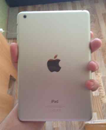  iPad mini