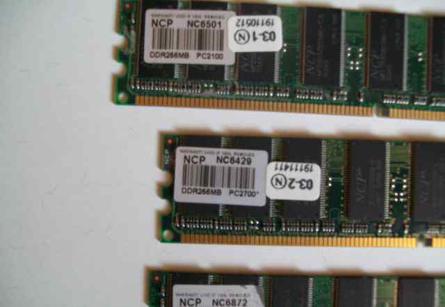 Пк 256. Оперативная память DDR 256mb pc2700 NCP. Gold NCP DDR.