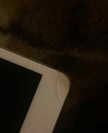 iPad mini retina 4g lte 16gb