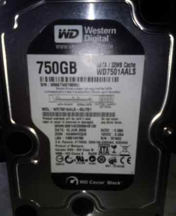Жесткий Диск Western Digital 750 Gb